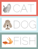 Preschool & PreK Dry Erase Pet Types