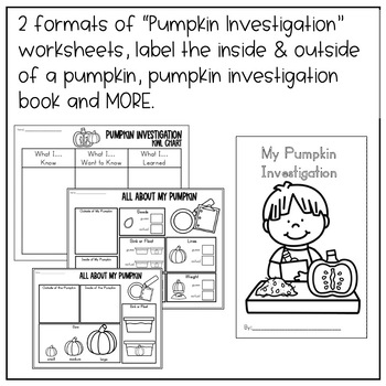 Preschool Pumpkin Investigation by Little Legacy Learning Co | TPT