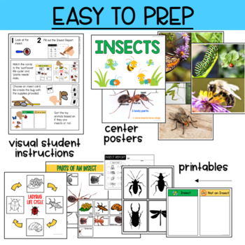Preschool Science Center - Insects by Lovely Commotion Preschool Resources