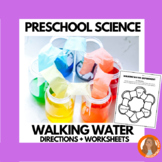 Preschool Science Walking Water Experiment: Color Theory P