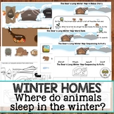 Preschool Science Winter Homes: Where do animals sleep in 