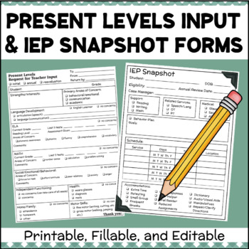 Preview of Present Level Teacher Input Form IEP Special Education Student Information Sheet