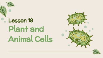 Preview of Presentable PDF 18: Plant and Animal Cells
