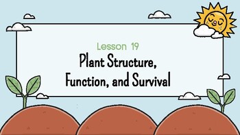 Preview of Presentable PDF 19: Plant Structure, Function, and Survival
