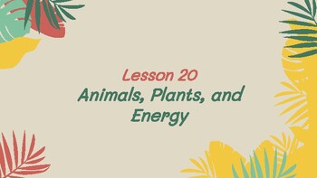 Preview of Presentable PDF 20: Animals, Plants, and Energy