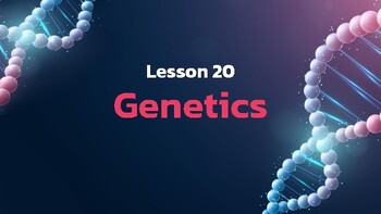 Preview of Presentable PDF 20: Genetics
