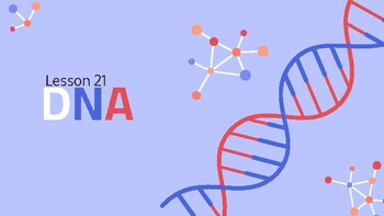 Preview of Presentable PDF 21: DNA