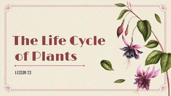Preview of Presentable PDF 23: The Life Cycle of Plants