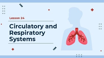 Preview of Presentable PDF 24: Circulatory & Respiratory Systems