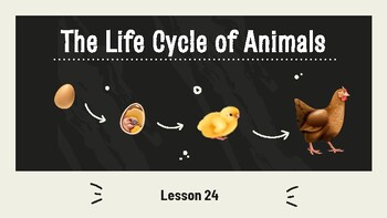 Preview of Presentable PDF 24: The Life Cycle of Animals