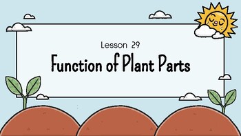 Preview of Presentable PDF 29: Function of Plant Parts