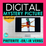 Preterite ER IR Verbs Digital Mystery Picture | Spanish Pixel Art