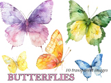 Pretty Pastel Watercolor Butterflies Clipart