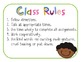 Primary Classroom Rules by Diary of a Teachaholic | TpT