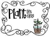 Primary Plant Life Cycle Printable Signs