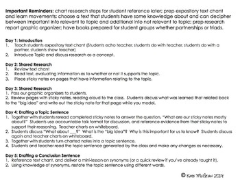 primary research report example