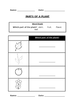 primary science worksheet collection bundle 20 worksheets20 pages