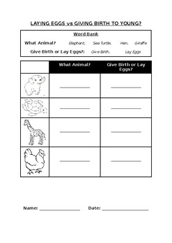 primary science worksheet collection bundle 20 worksheets20 pages