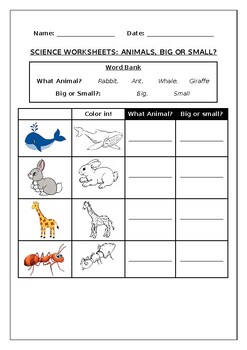 Primary Science Worksheet Big Or Small Animals By Science Workshop