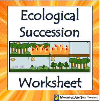 Primary Secondary Succession Worksheet by Witnessing Light Bulb Moments