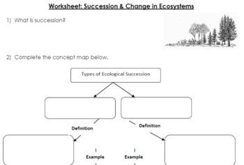 Primary Secondary Succession Worksheet by Witnessing Light Bulb Moments