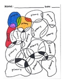 Primary VS Secondary Color Worksheet Coloring Page