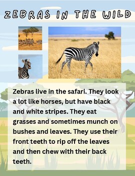 Preview of Primary Zebra Booklet