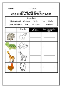 Primary science worksheet, Animals which lay eggs vs giving birth to young