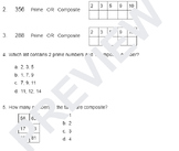 Prime & Composite Practice