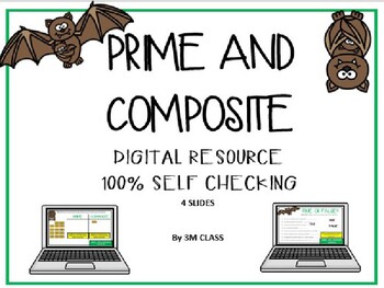 Preview of Prime and Composite Digital Practice