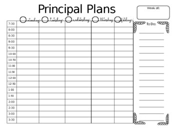 Preview of Principal Planner