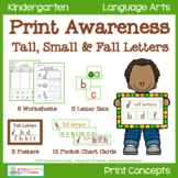 Print Awareness - Tall, Small & Fall Letters