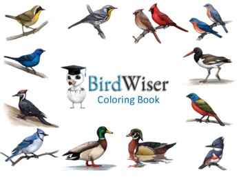 Preview of Bird Identification Coloring Book