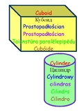 Printable 2D and 3D shapes with names in Polish, Latvian, 