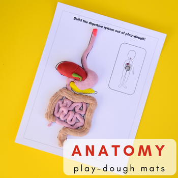 Preview of Human Body Anatomy Printable Play-Dough Mats