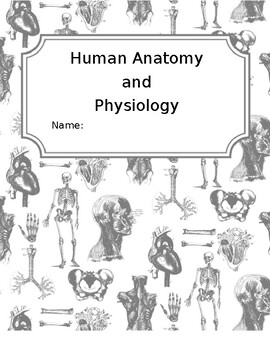 Preview of Printable Anatomy Workbook Cover