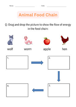 Printable Animal Food Chain Worksheet and Activity - Cut And Paste for ...