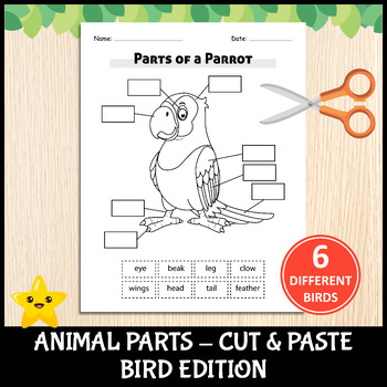 Preview of Printable Animal Parts Cut & Paste Worksheet Set - Bird Edition
