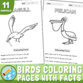 Printable Birds Coloring Pages with Interesting Facts