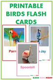 Printable Birds Flash Cards