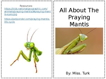 Preview of Printable Book: Praying Mantis