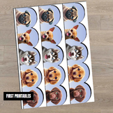 Printable Bulletin Board Paper Borders Cute Puppy Dog Déco