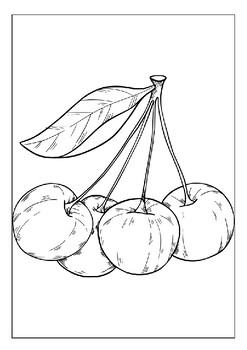 cherry colouring pages