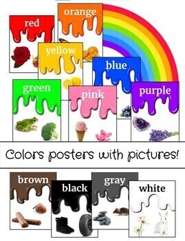 Preview of Printable Color Posters with Real Pictures!