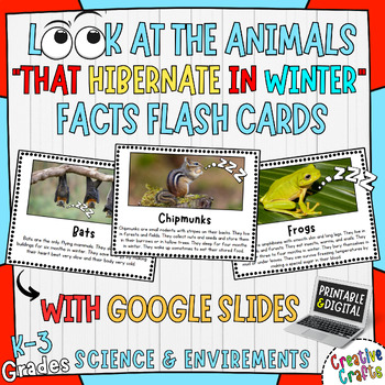 Preview of Printable & Digital Flashcards for Facts about Animals that Hibernate in Winter