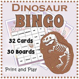Printable Dinosaur Age BINGO Game - 32 Information Cards a