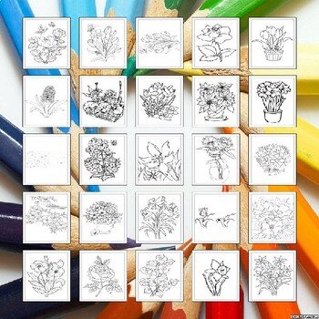 Unleash Your Inner Artist: A Summer of Coloring Fun!