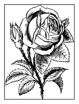 Flowers Coloring Pages For Adults. Stress Relief Coloring Book For