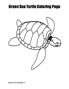 Printable Green Sea Turtle Coloring Page Worksheet By Lesson Machine
