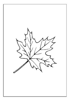 Get Your Kids Excited About Nature with Our Leaf Coloring Pages Collection,  PDF